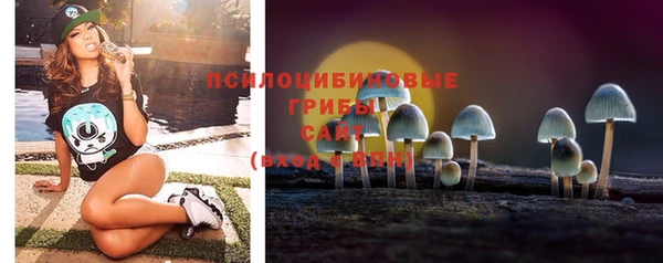 синтетический гашиш Ельня