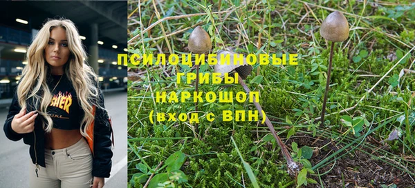 эйфоретик Заволжье